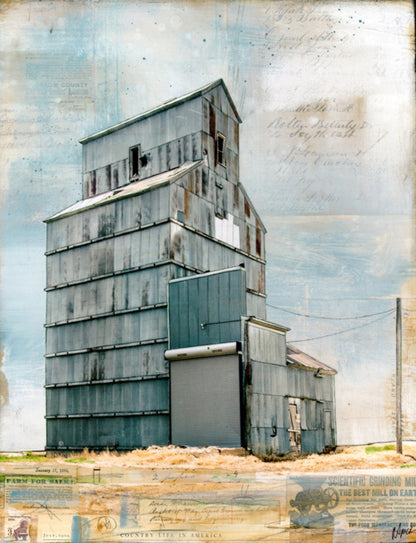 New Old Grain