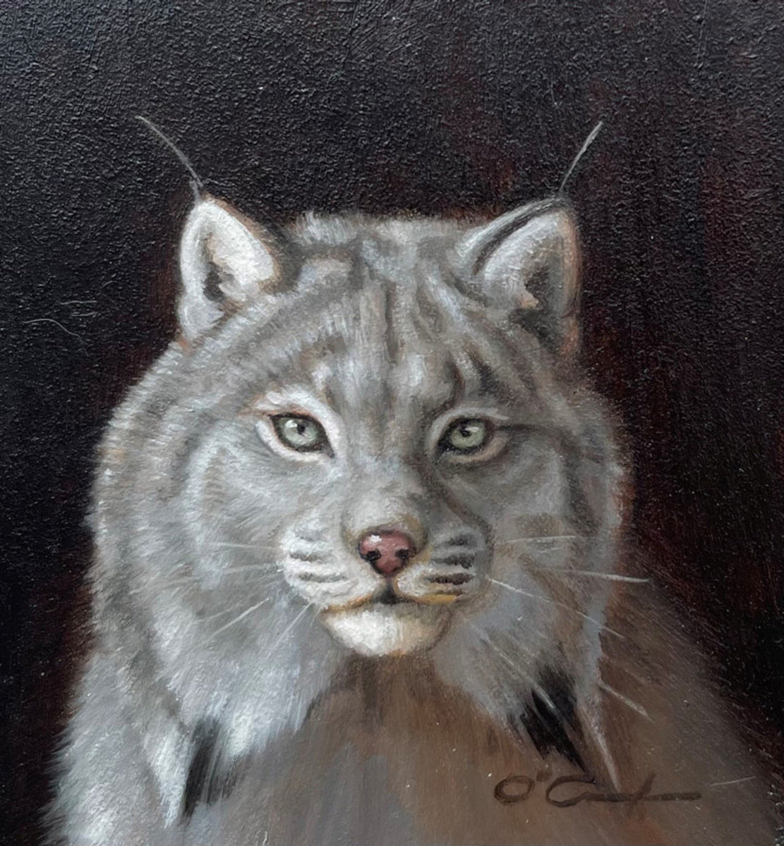 Lynx