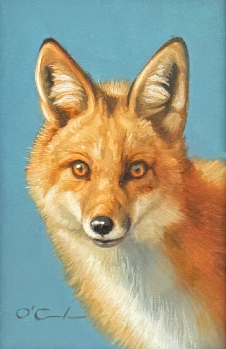 Red Fox on Sea Blue
