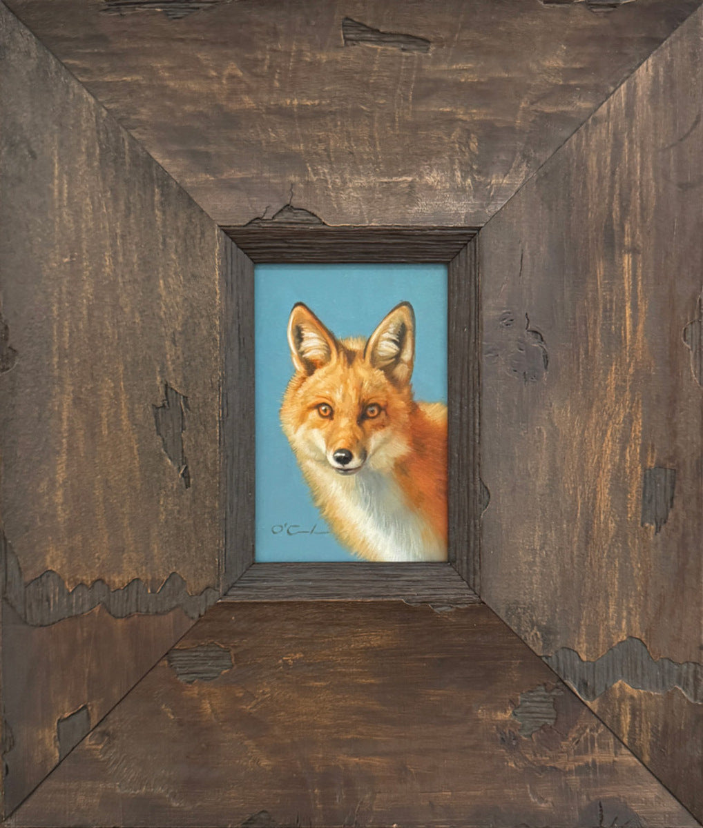 Red Fox on Sea Blue