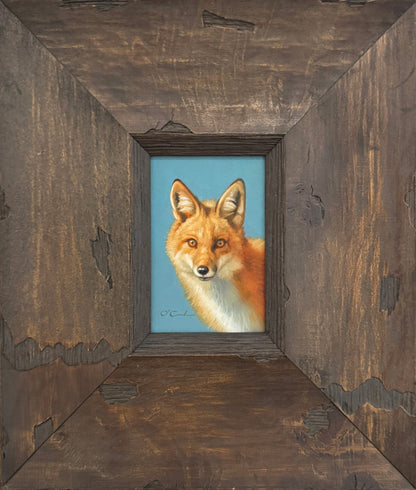 Red Fox on Sea Blue