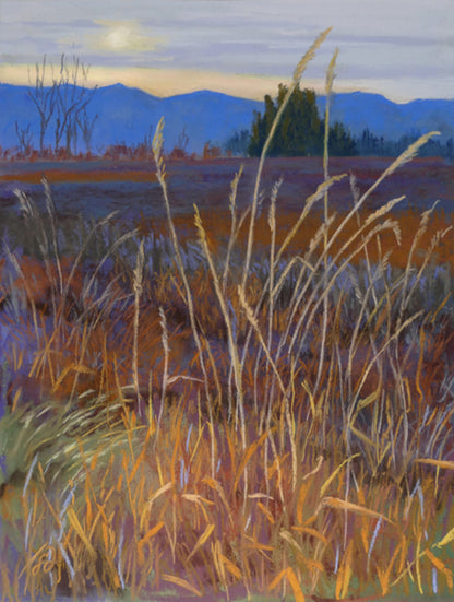 In the Quiet Glow