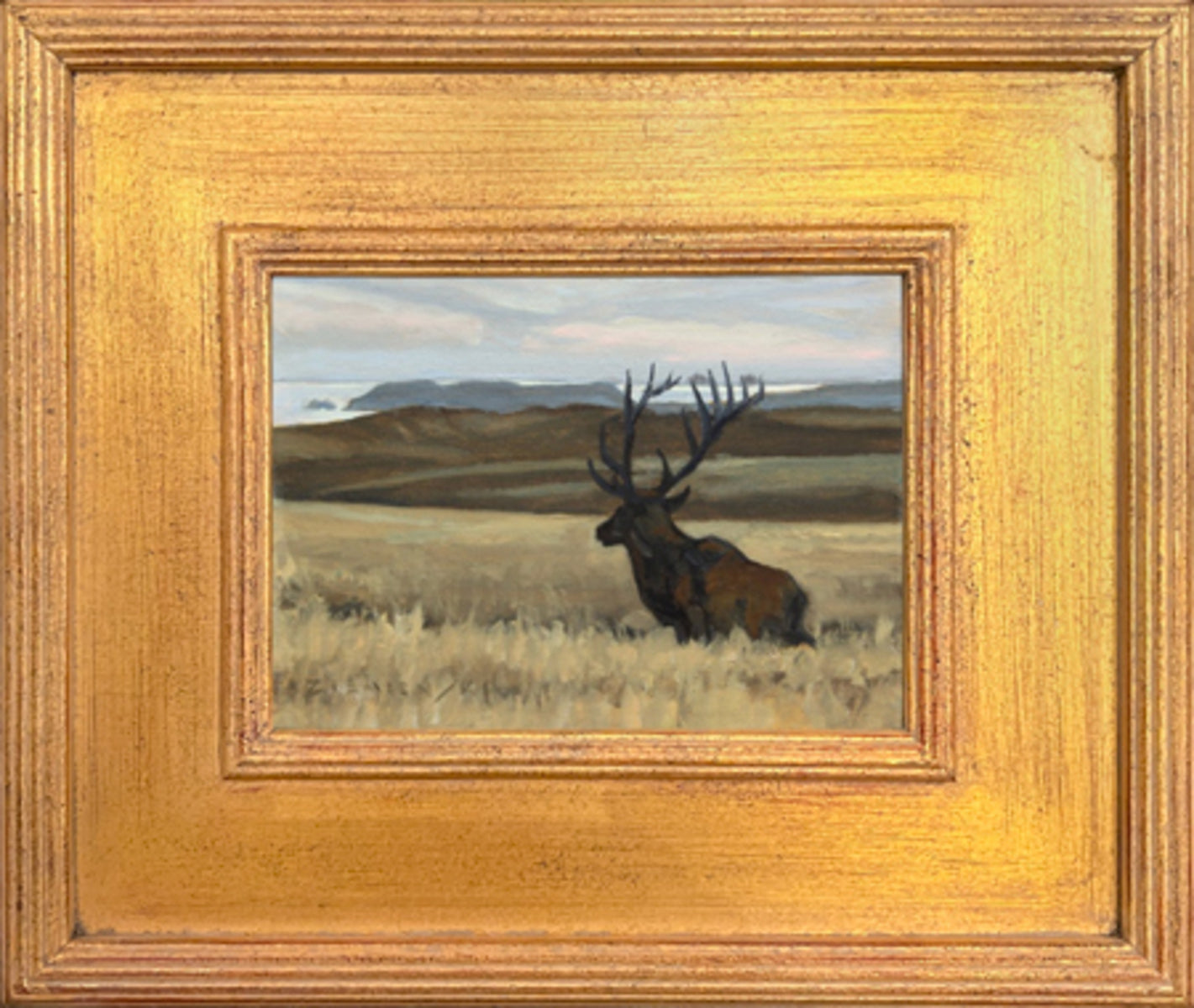 View to the Farallones