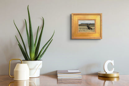 View to the Farallones