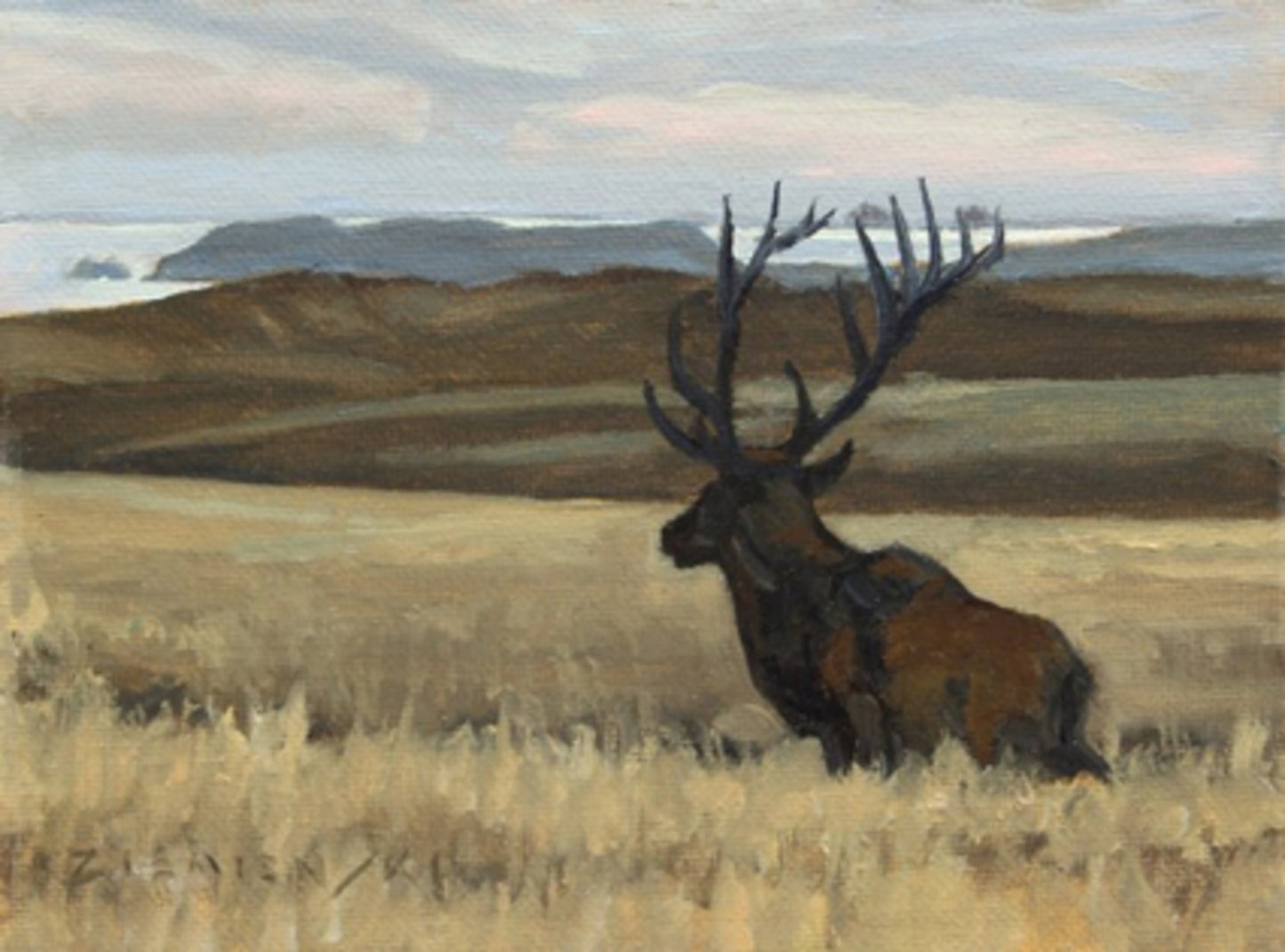 View to the Farallones