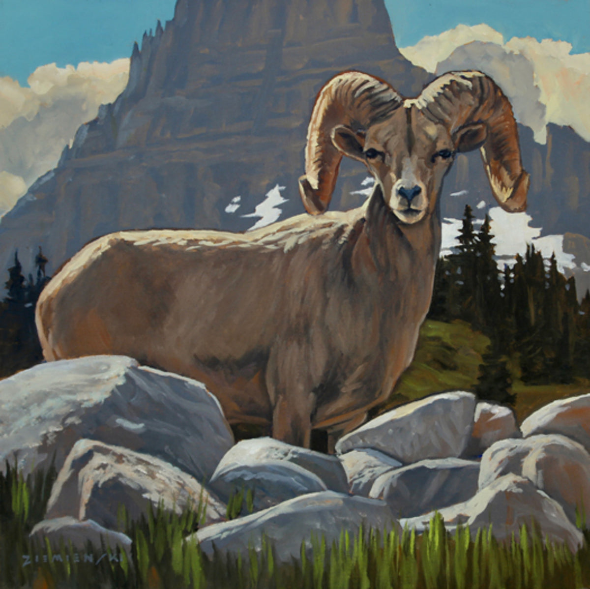 Big Horn at the Pass