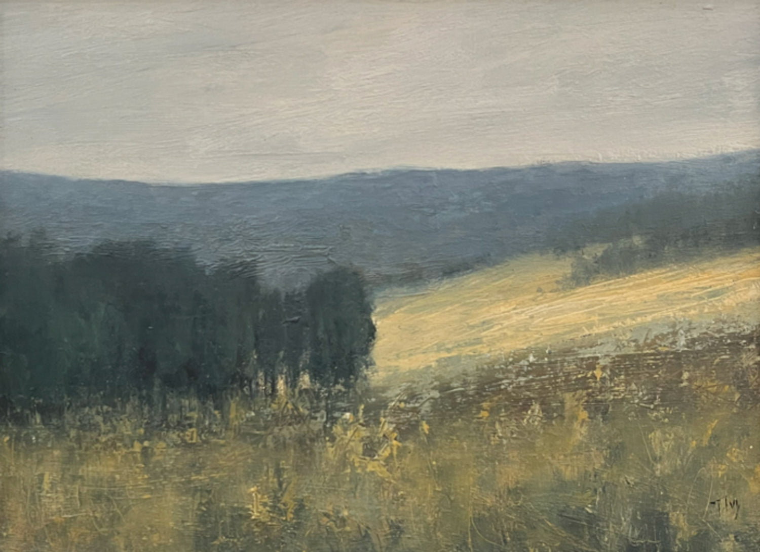 Into Mountains and Memories