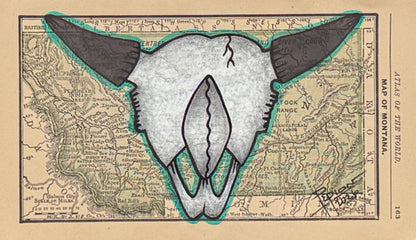 Montana Buffalo Skull