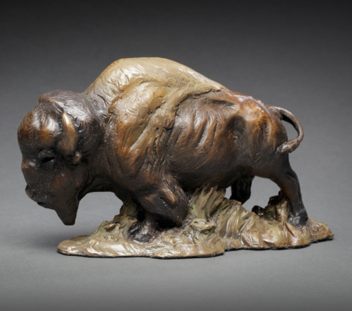 Tallgrass Bison 14/30