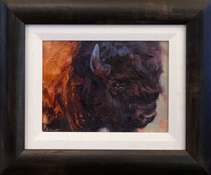 Bison Bull
