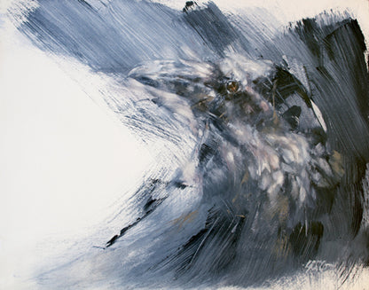 In the Wake