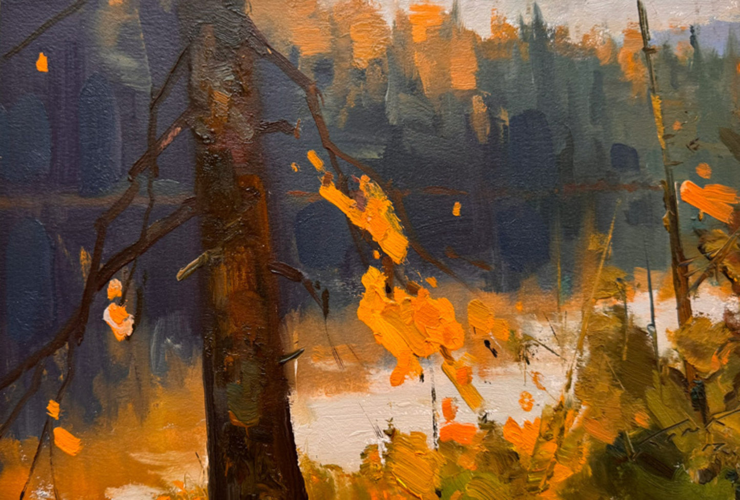 Lost Loon Lake