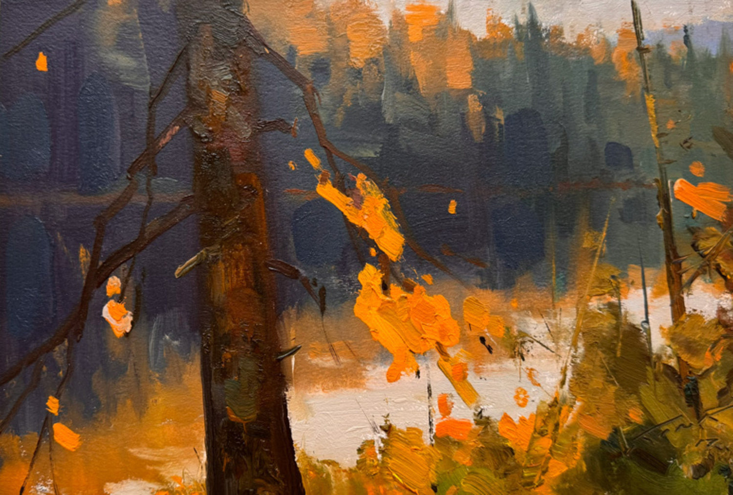 Lost Loon Lake