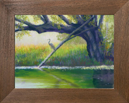 Heron on the Swan