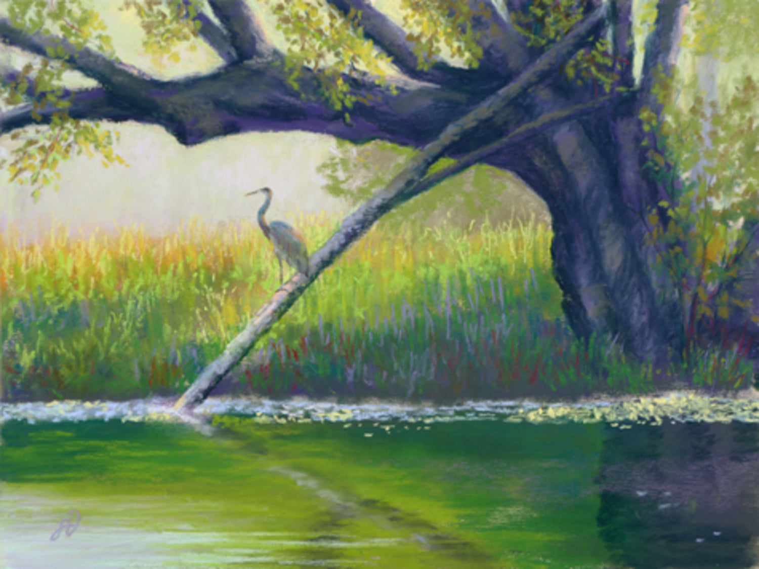 Heron on the Swan