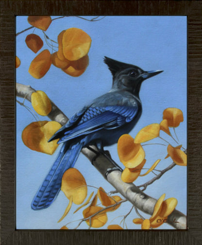 Another Stellar Performance