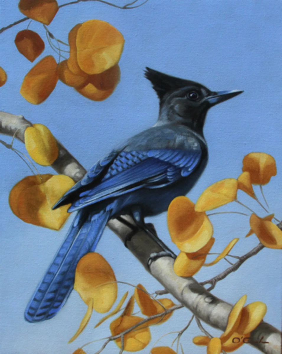 Another Stellar Performance