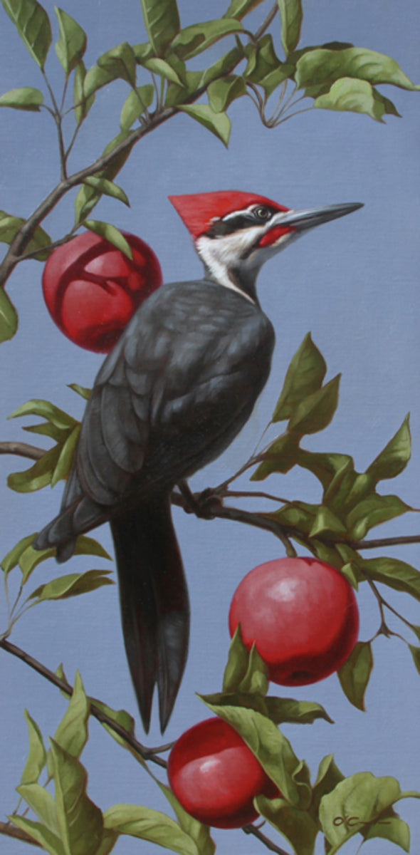 Apple Orchard Advocate