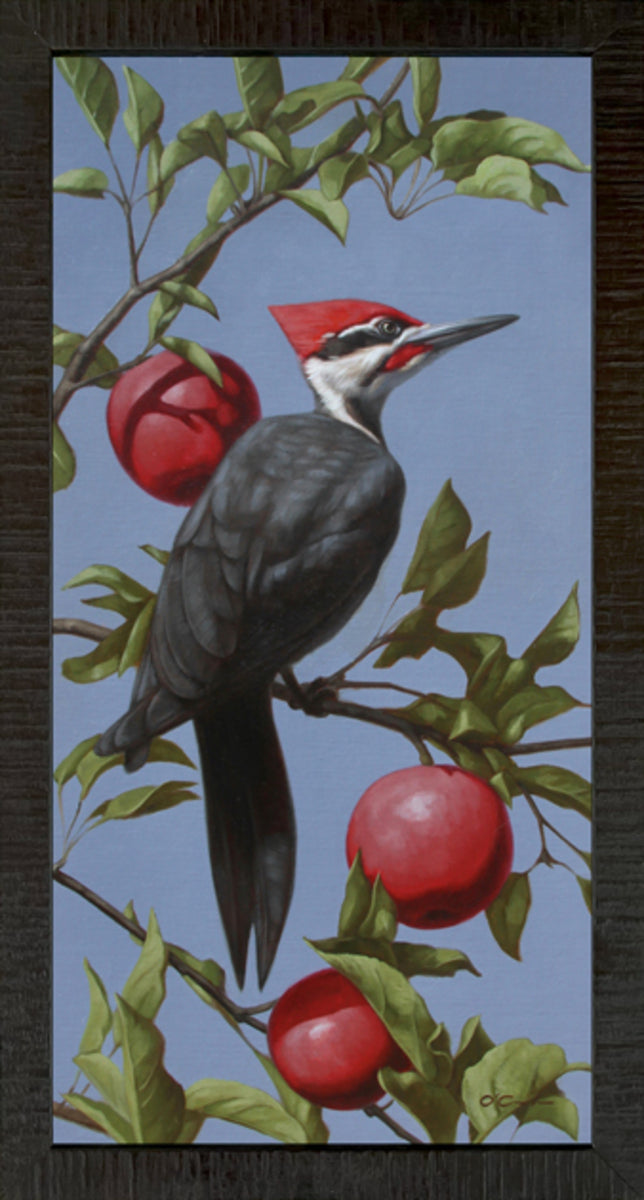 Apple Orchard Advocate