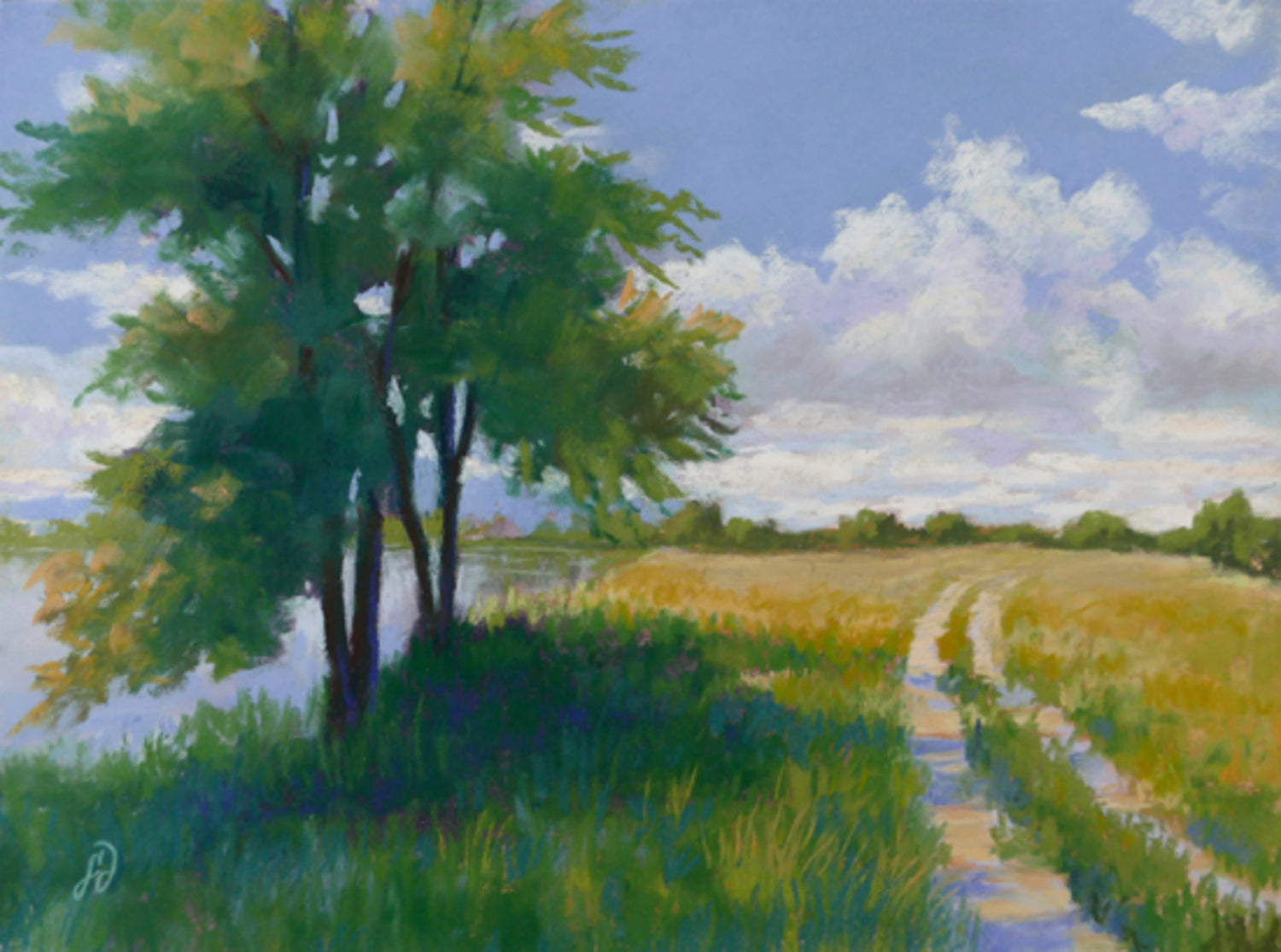 Summer Serenity