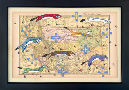 Łpá ‘Winter Ermine’ in Color