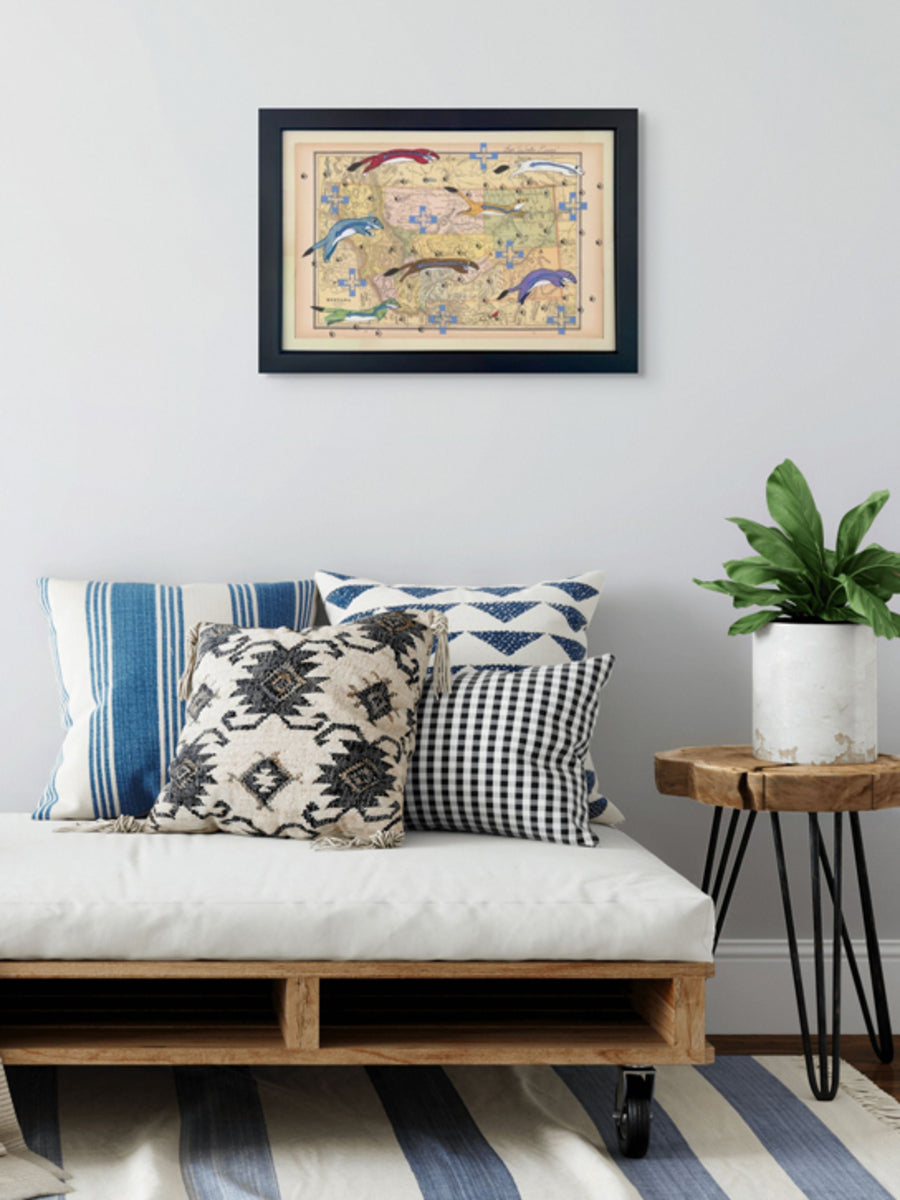 Łpá ‘Winter Ermine’ in Color