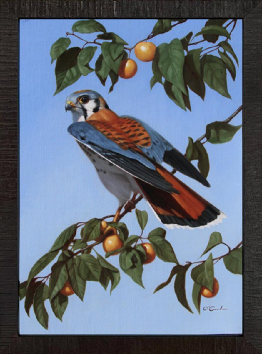 Ready to Take Flight