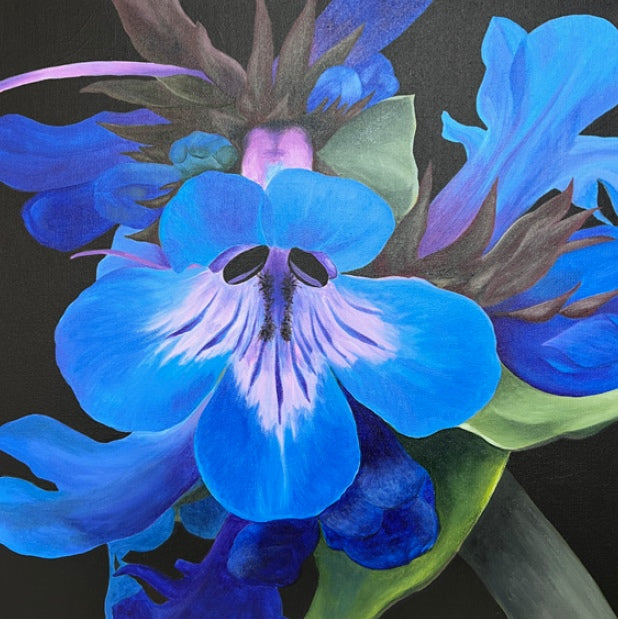 A group of blue and purple flowers with five oblong petals.