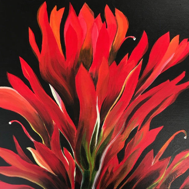 A red flower with many long small petals that point upward.