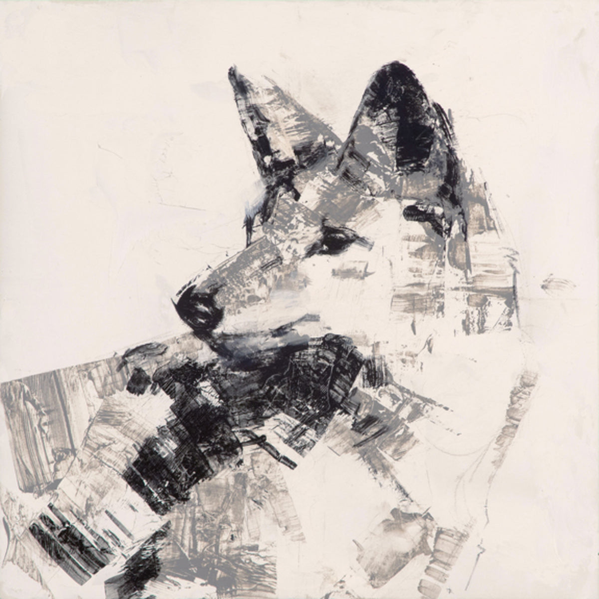 Chaos Theory: Barking Dog