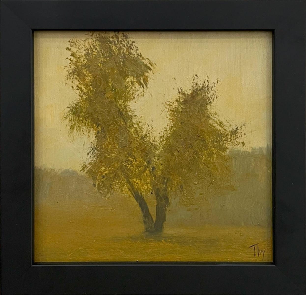 Shadows of Gold