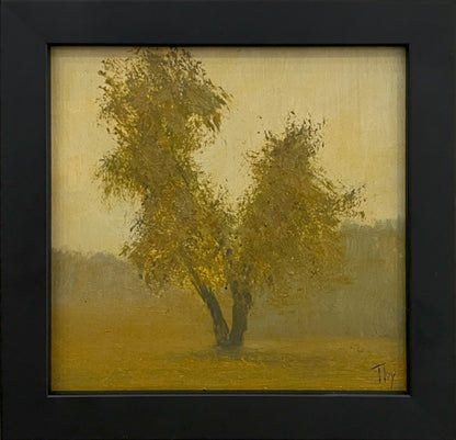 Shadows of Gold