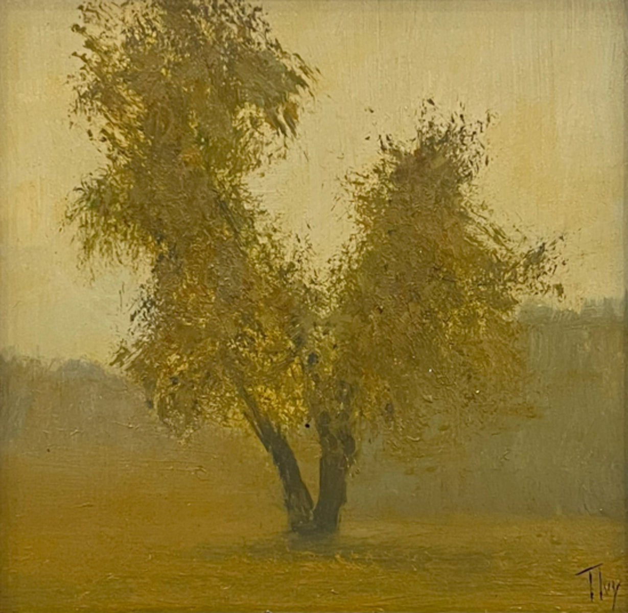 Shadows of Gold