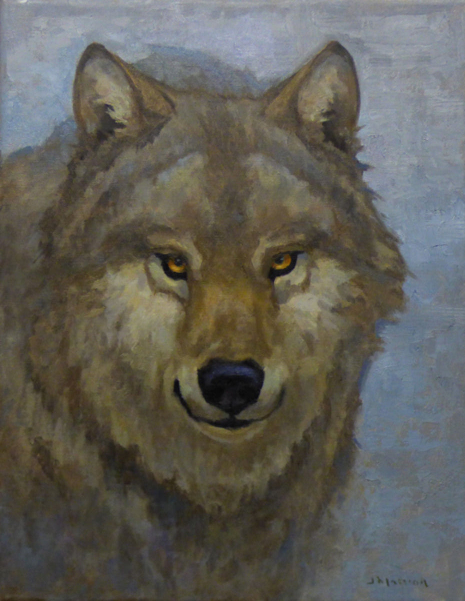 Solemn Gaze