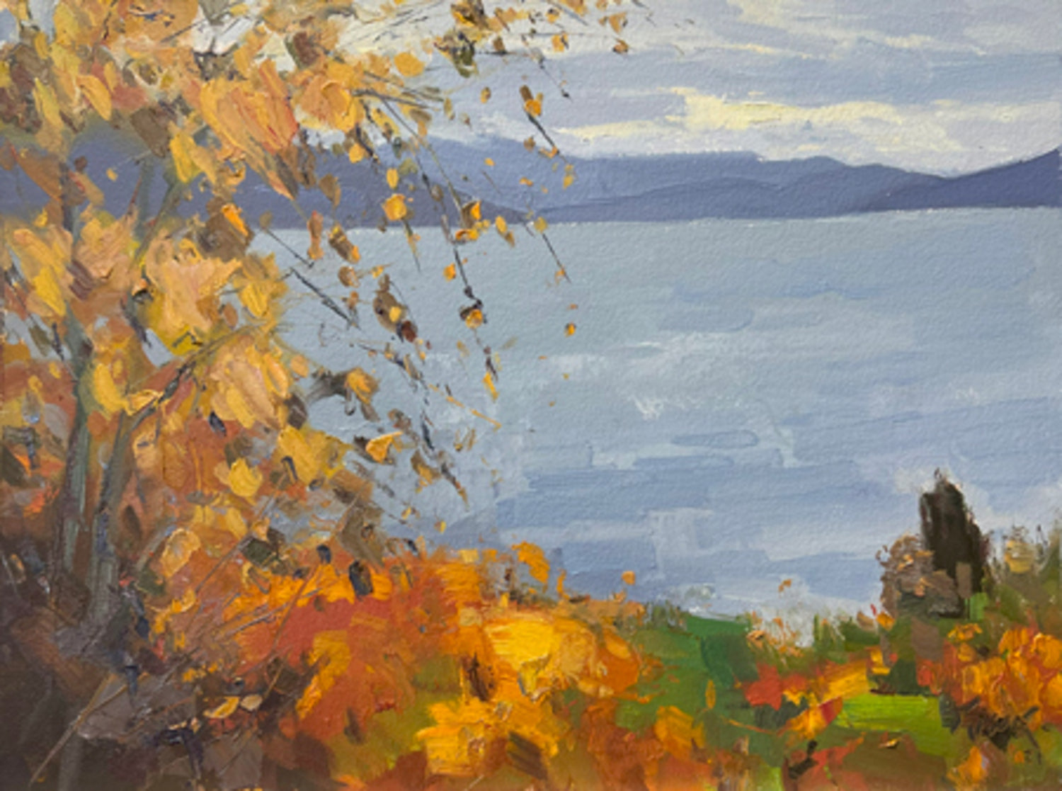 Flathead Lake in Bloom