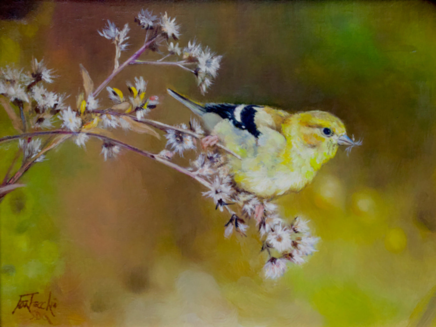 Thistles and Goldfinch