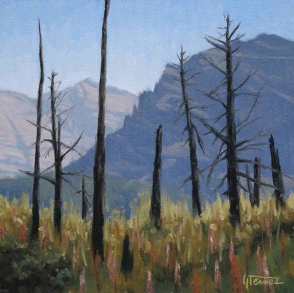 Going to the Sun Contrast