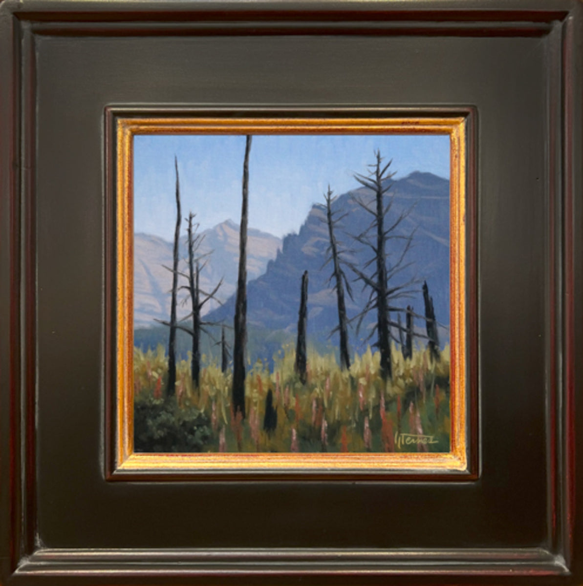 Going to the Sun Contrast