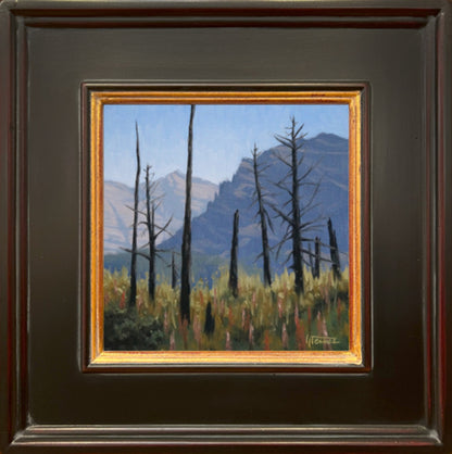 Going to the Sun Contrast