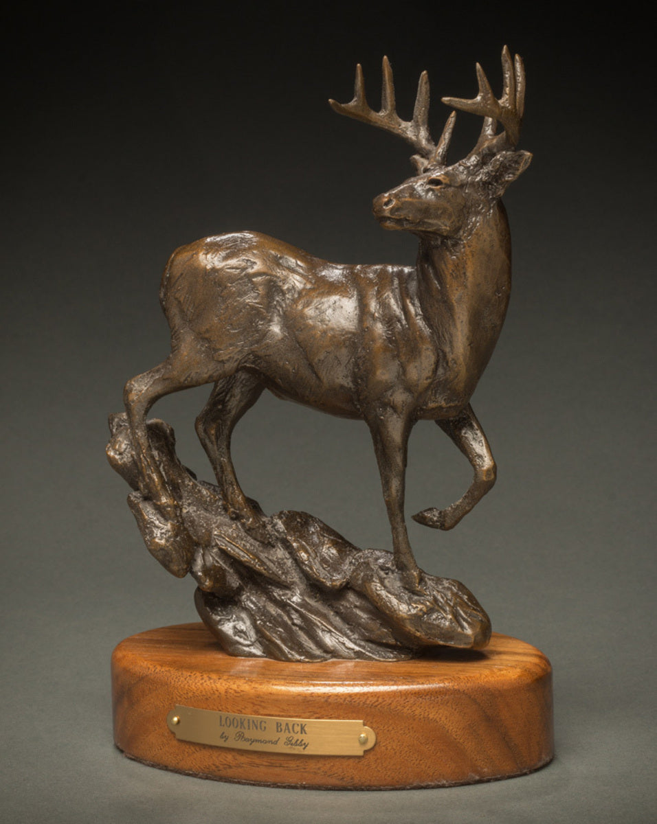 Looking Back 39/50