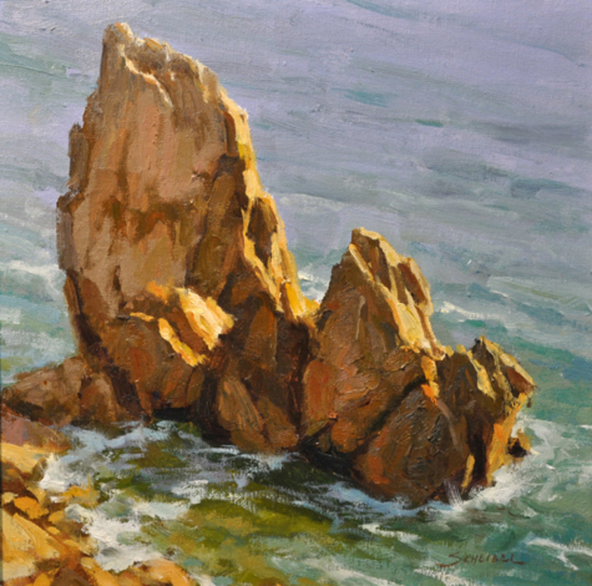 Tide Pools