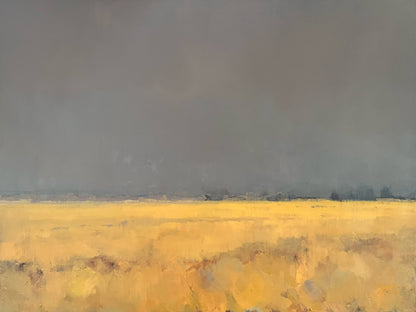 Belgrade Fields