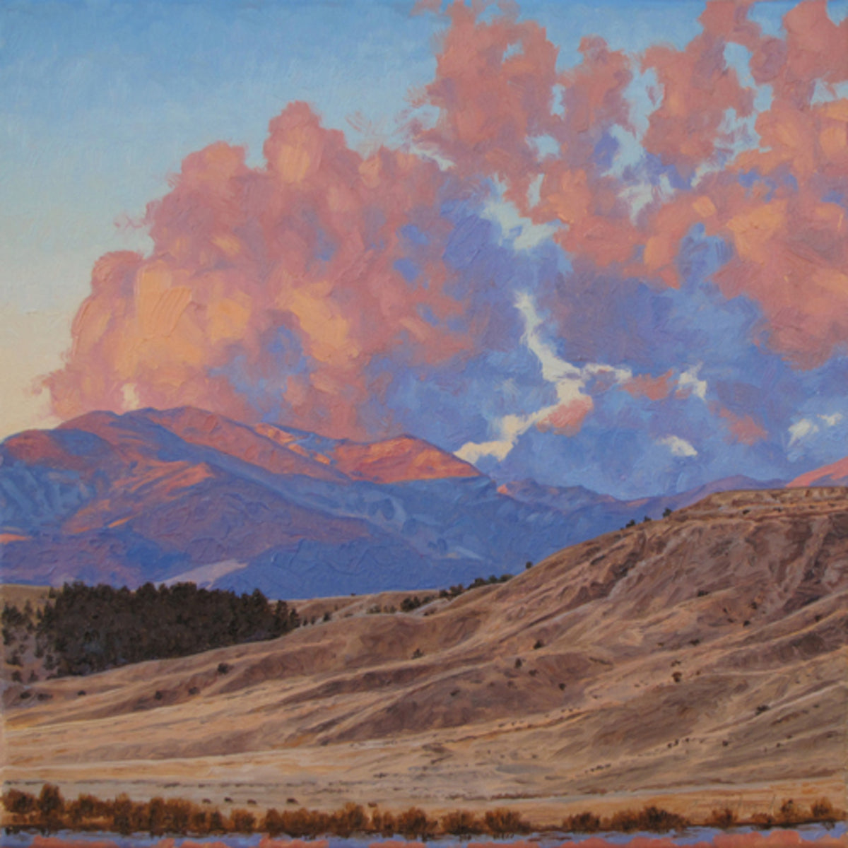 Peaks of Pink