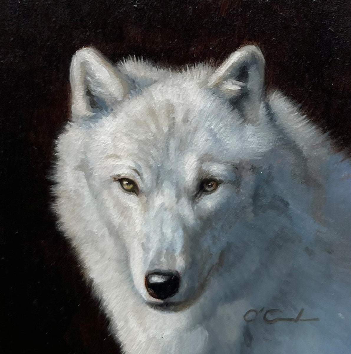 Arctic Wolf