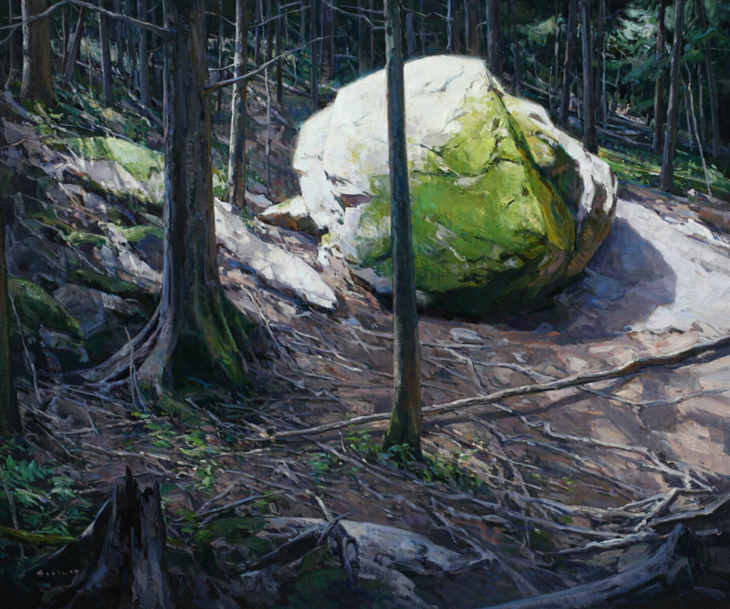 Apparition, Glacier National Park