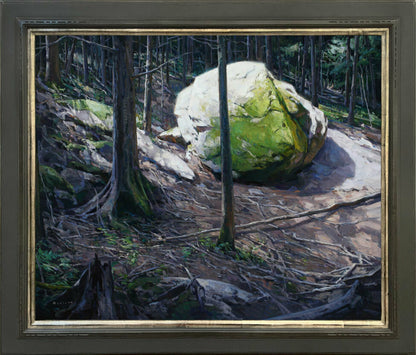 Apparition, Glacier National Park