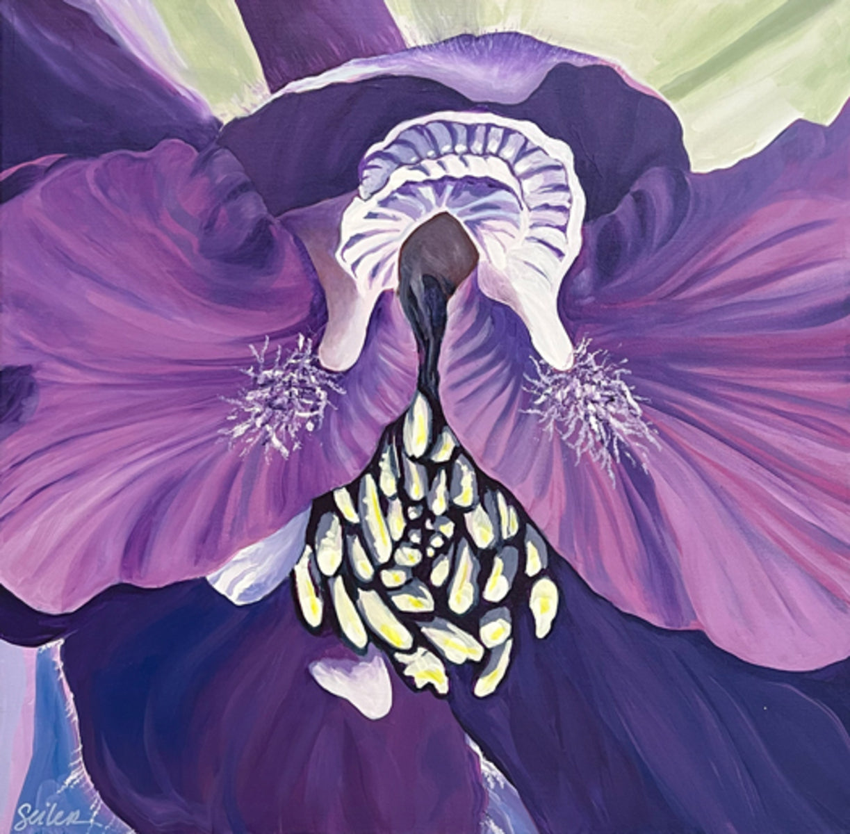 Delphinium