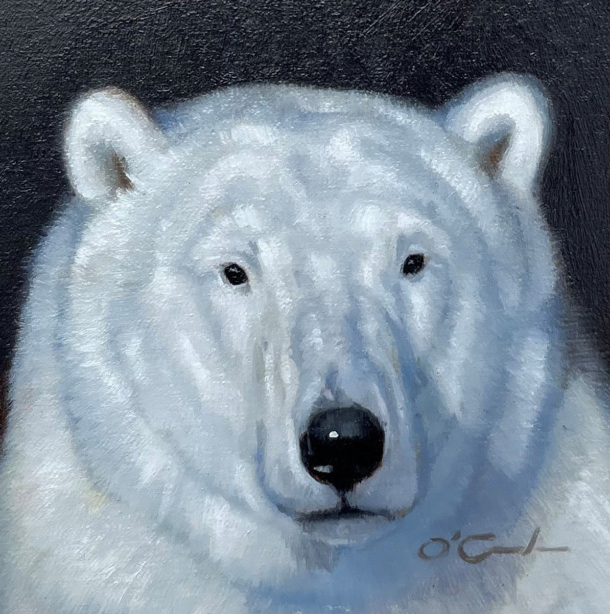 Polar Bear