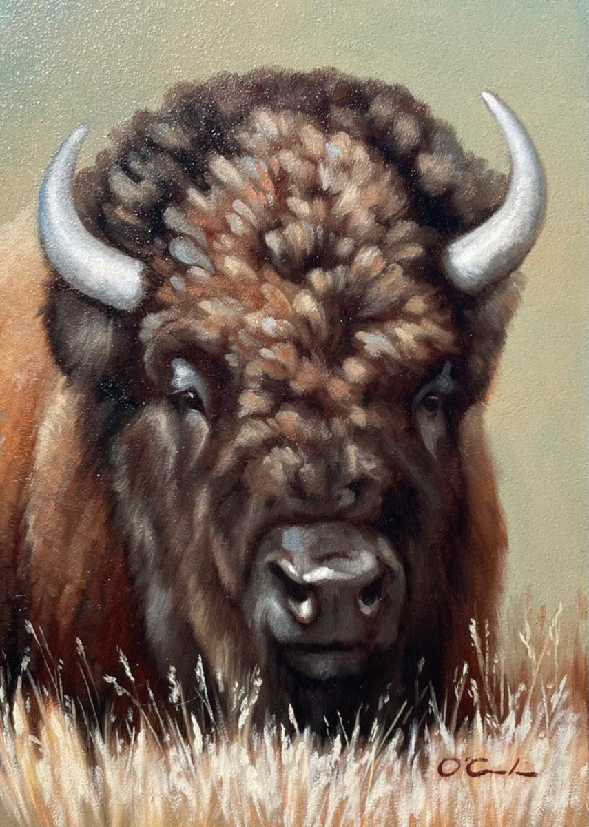 Plains Patriarch