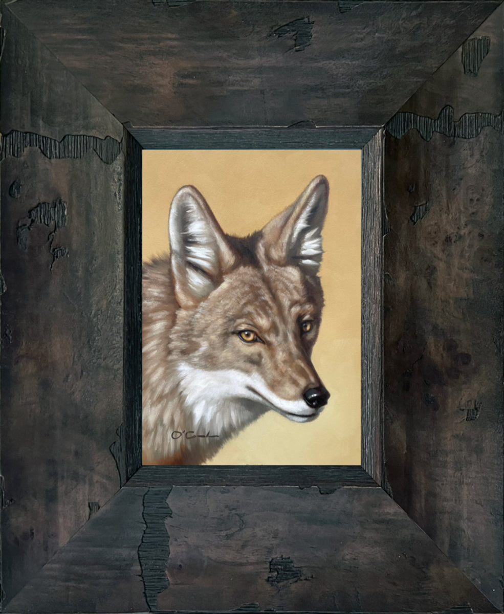 Wile E Coyote